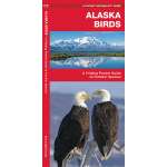 Alaska :Alaska Birds
