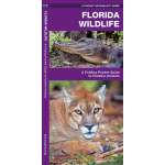 Florida Wildlife