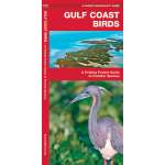 Bird Identification Guides :Gulf Coast Birds