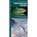 Freshwater Fishes  (Folding Pocket Guide)