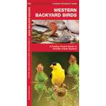 Western Backyard Birds