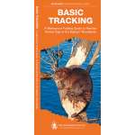 Basic Tracking