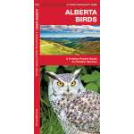 Alberta Birds