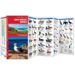 Bird Identification Guides :San Diego Birds