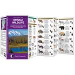 Mammal Identification Guides :Denali Wildlife