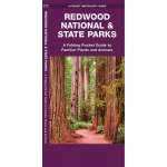 Redwood National & State Parks (Folding Pocket Guide)
