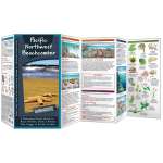 Pacific Northwest Beachcomber (Folding Pocket Guide)