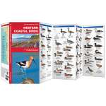 Bird Identification Guides :Western Coastal Birds