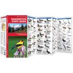 Washington Birds (Folding Pocket Guide)