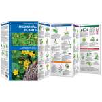 Medicinal Plants (Folding Pocket Guide)