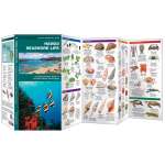 Aquarium Gifts and Books :Hawaii Seashore Life