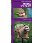 Urban Wildlife