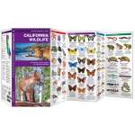 Mammal Identification Guides :California Wildlife