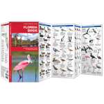 Bird Identification Guides :Florida Birds