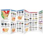 Field Identification Guides :Geology