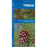 Tree Identification Guides :Trees