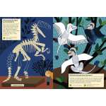 My Nature Sticker Activity Book: In the Age of Dinosaurs