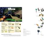 My Nature Sticker Activity Book: In the Age of Dinosaurs