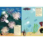 My Nature Sticker Activity Book: At the Seashore