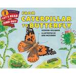 From Caterpillar to Butterfly