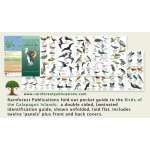 Galapagos Islands Birds Field Guide