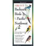 Bird Identification Guides :Sibley's Backyard Birds of Pacific Northwest