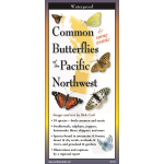 Common Butterflies of the Pacific Northwest