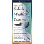 Sibley's Seabirds of the Pacific Coast