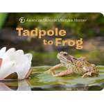 Baby Animals :Tadpole to Frog (Science for Toddlers)