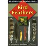 Birding :Bird Feathers: A Guide to North American Species