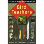 Bird Feathers: A Guide to North American Species