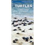 Turtles: A Folding Pocket Guide to the Status of Familiar Species