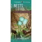 Nests and Eggs of North American Backyard Birds