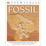 Dinosaurs, Fossils, Rocks & Geology Books :DK Eyewitness Books: Fossil
