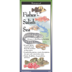 Pacific Coast / Pacific Northwest Field Guides :Fishes of the Salish Sea