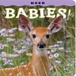 Baby Animals :Deer Babies!