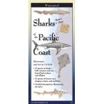 Sharks, Skates & Rays Of The Pacific Coast