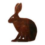 Desert Hare MAGNET