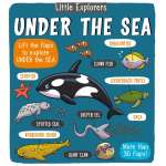 Fish, Sealife, Aquatic Creatures :Little Explorers: Under the Sea