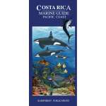 Costa Rica Pacific Coast Marine Wildlife Guide