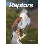 Playing Cards :Raptors Playing Cards