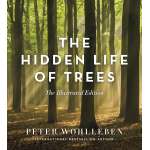 Nature & Ecology :The Hidden Life of Trees: The Illustrated Edition