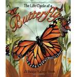 The Life Cycle of a Butterfly