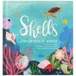 Ocean & Seashore :Shells: A Pop-Up Book of Wonder