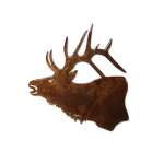Elk Head MAGNET (Small)