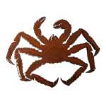 King Crab Magnet