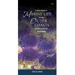 A Field Guide to Marine Life of the Outer Coasts of the Salish Sea and Beyond