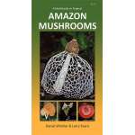 Mushroom Identification Guides :A Field Guide to Tropical Amazon Mushrooms