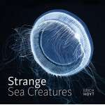 Strange Sea Creatures