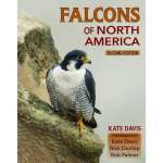 Birding :Falcons of North America